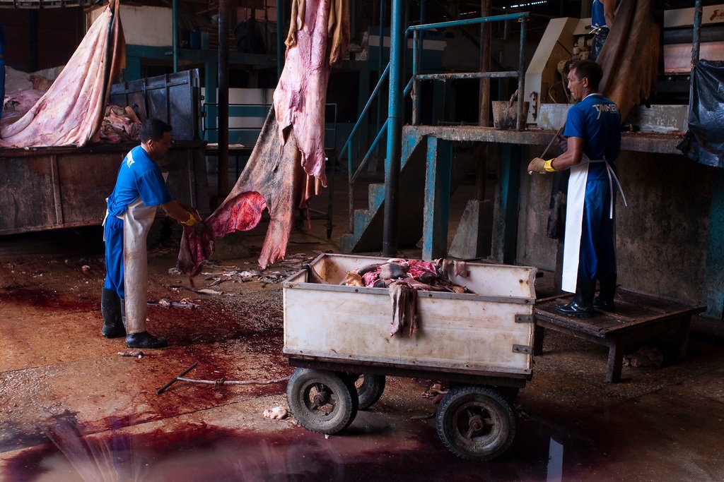 Raw hide hangs in a tannery in Amazon, Brazil.CreditCreditMarco Antonio Rezende/Getty Images
